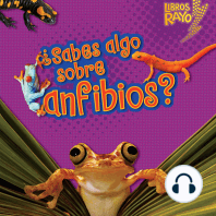 ¿Sabes algo sobre anfibios? (Do You Know about Amphibians?)