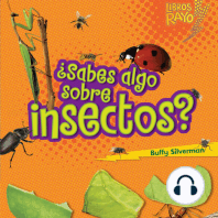 ¿Sabes algo sobre insectos? (Do You Know about Insects?)