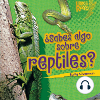 ¿Sabes algo sobre reptiles? (Do You Know about Reptiles?)