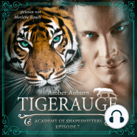 Tigerauge, Episode 7 - Fantasy-Serie