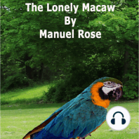 The Lonely Macaw
