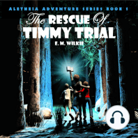 The Rescue of Timmy Trial