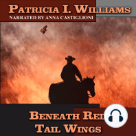 Beneath Red Tail Wings