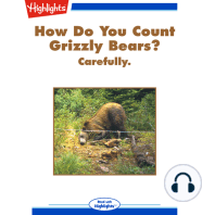 How Do You Count Grizzly Bears?