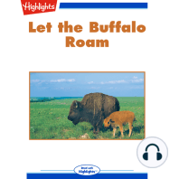 Let the Buffalo Roam