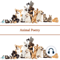 The Poetry Of Animals