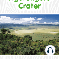 Ngorongoro Crater