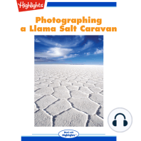 Photographing a Llama Salt Caravan