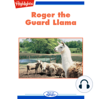 Roger the Guard Llama