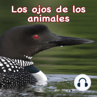 Los ojos de los animales