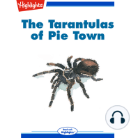 The Tarantulas of Pie Town