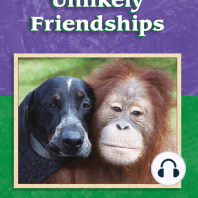 Unlikely Friendships