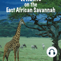 Wildlife on the East African Savannah