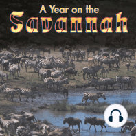 A Year on the Savannah