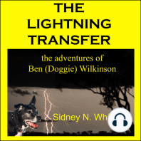 The Lightning Transfer