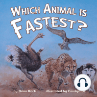 Which Animal is Fastest?
