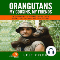 Orangutans