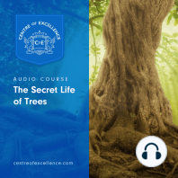 The Secret Life of Trees