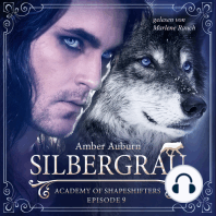 Silbergrau, Episode 9 - Fantasy-Serie