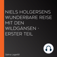 Niels Holgersens wunderbare Reise mit den Wildgänsen - Erster Teil