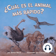 ¿Cuál es el animal más rápido?