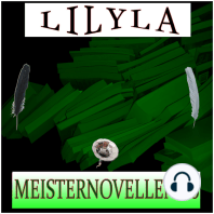 Meisternovellen 36