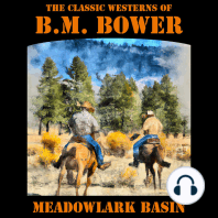 Meadowlark Basin