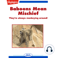 Baboons Mean Mischief
