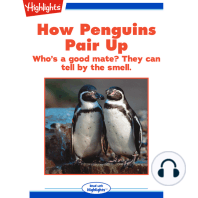 How Penguins Pair Up