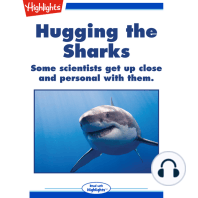 Hugging the Sharks