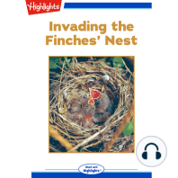 Invading the Finches' Nest