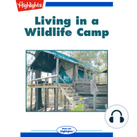 Living in a Wildlife Camp