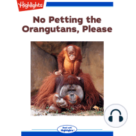 No Petting the Orangutans Please