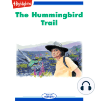 The Hummingbird Trail