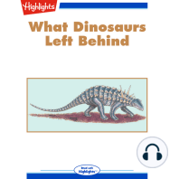 What Dinosaurs Left Behind