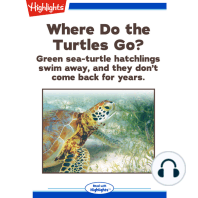 Where Do the Turtles Go?