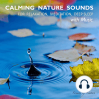 Calming Nature Sounds With Music