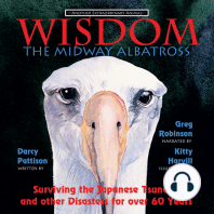 Wisdom, the Midway Albatross