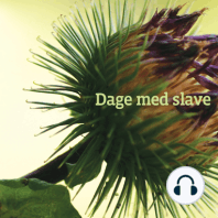 Dage med slave