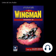 Wingman #01