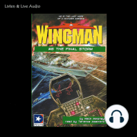 Wingman #06 - The Final Storm