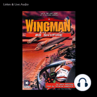 Wingman #08 - Skyfire