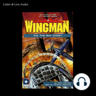 Wingman #14 - The Sky Ghost