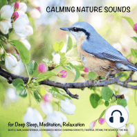 Calming Nature Sounds for Deep Sleep, Meditation, Relaxation