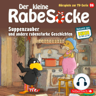 Suppenzauber, Gestrandet, Die Ringelsocke ist futsch! (Der kleine Rabe Socke - Hörspiele zur TV Serie 6)