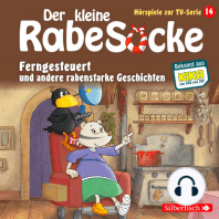 Ferngesteuert, Der Laden der allertollsten Dinge, Freundschaft mit Hindernissen (Der kleine Rabe Socke - Hörspiele zur TV Serie 14)