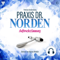 Praxis Dr. Norden 6 - Arztroman