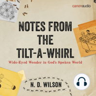 Notes from the Tilt-a-Whirl