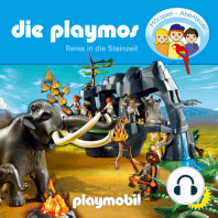 Die Playmos - Das Original Playmobil Hörspiel, Folge 27