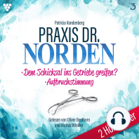 Praxis Dr. Norden 2 Hörbücher Nr. 3 - Arztroman